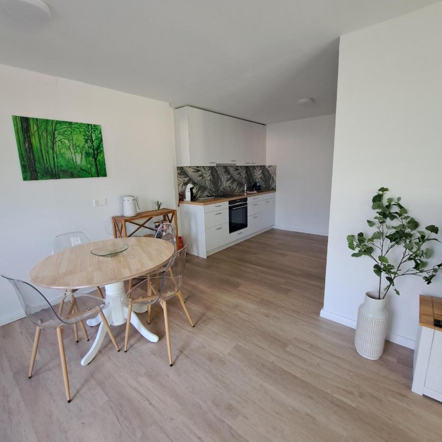 Ferienwohnung Muota Muotathal 외부 사진